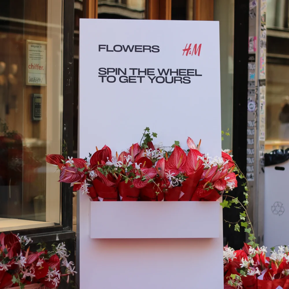 Copy of 2024-09-12 10.45.01