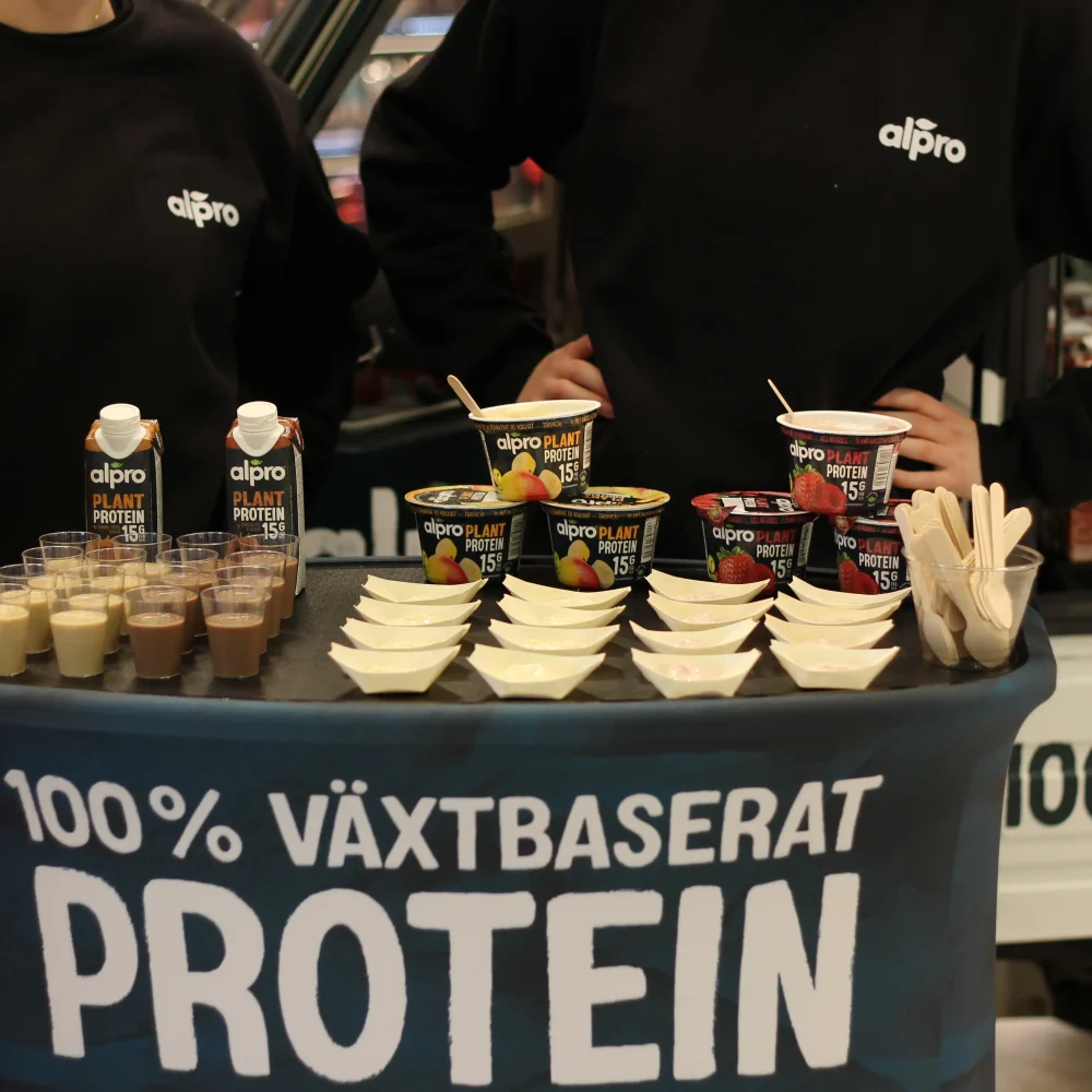 Copy of 2024-11-15 15.08.21