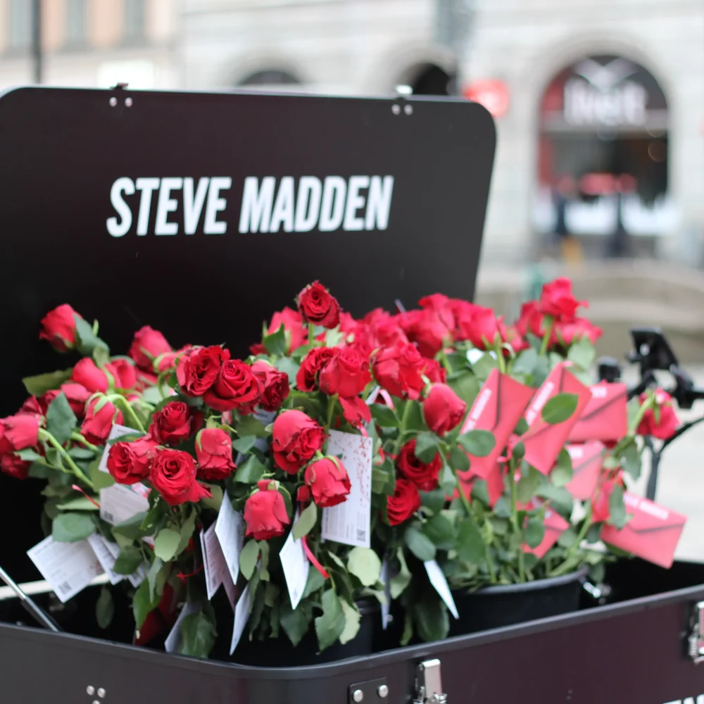 Kopia av 2025-02-08 12.24.46